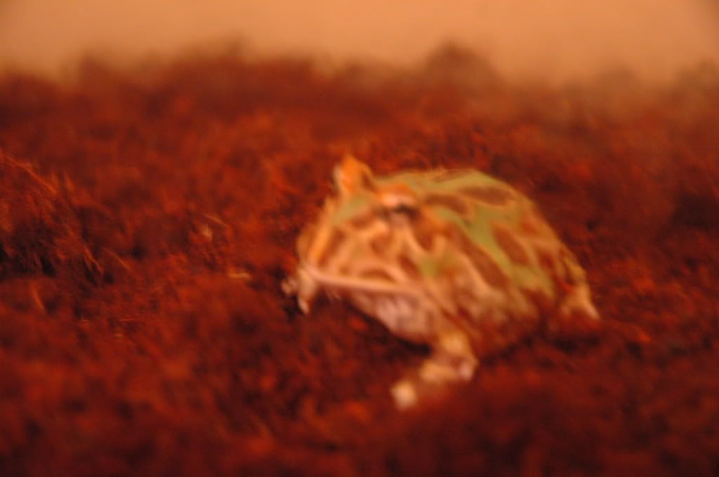 DSC_4148.jpg