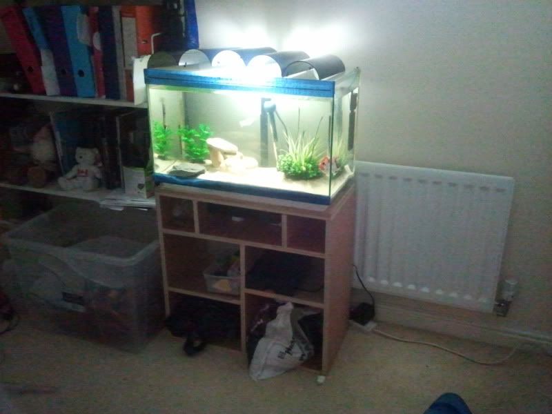 2011-05-21180314.jpg