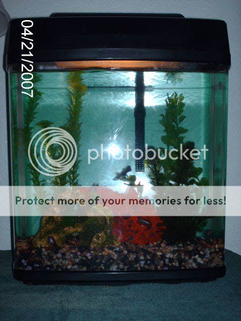 PICT0319.jpg