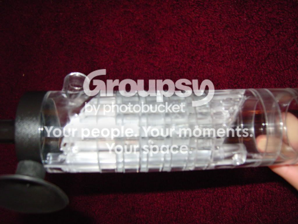 LPIC0363.jpg
