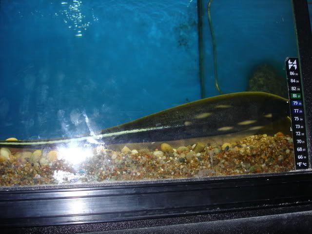 DSC03836.jpg