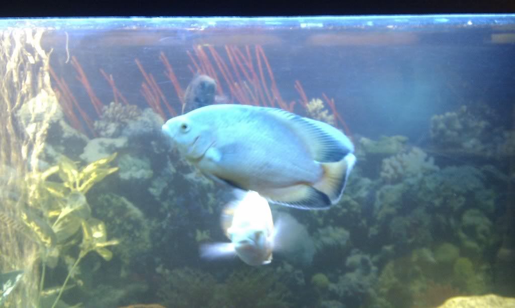 IMAG0175.jpg