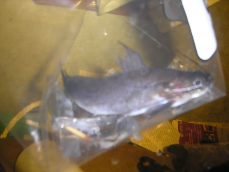 PC160008.jpg