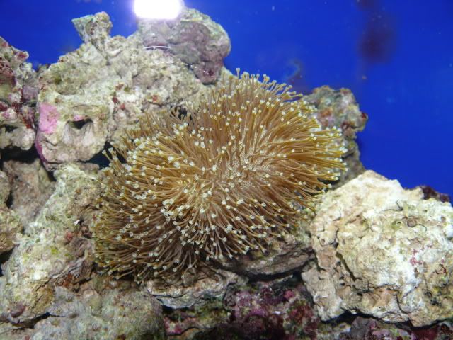P1040311.jpg