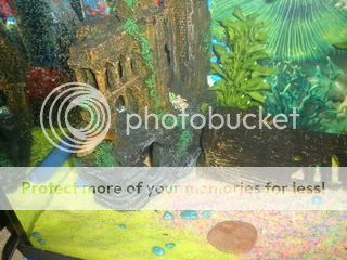 DSC01842.jpg