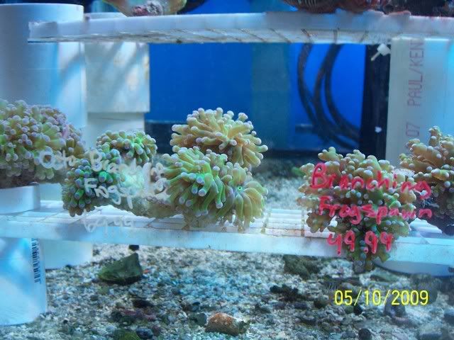 100_6138.jpg