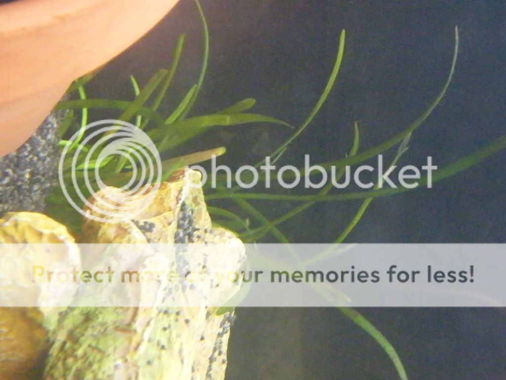 DSCF4297.jpg