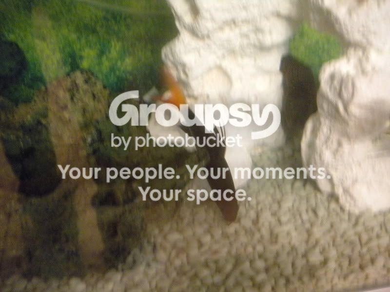 DSCN0466.jpg