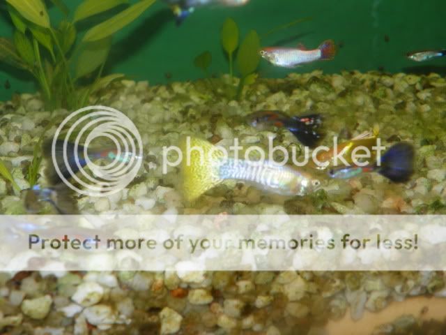 100_2106.jpg