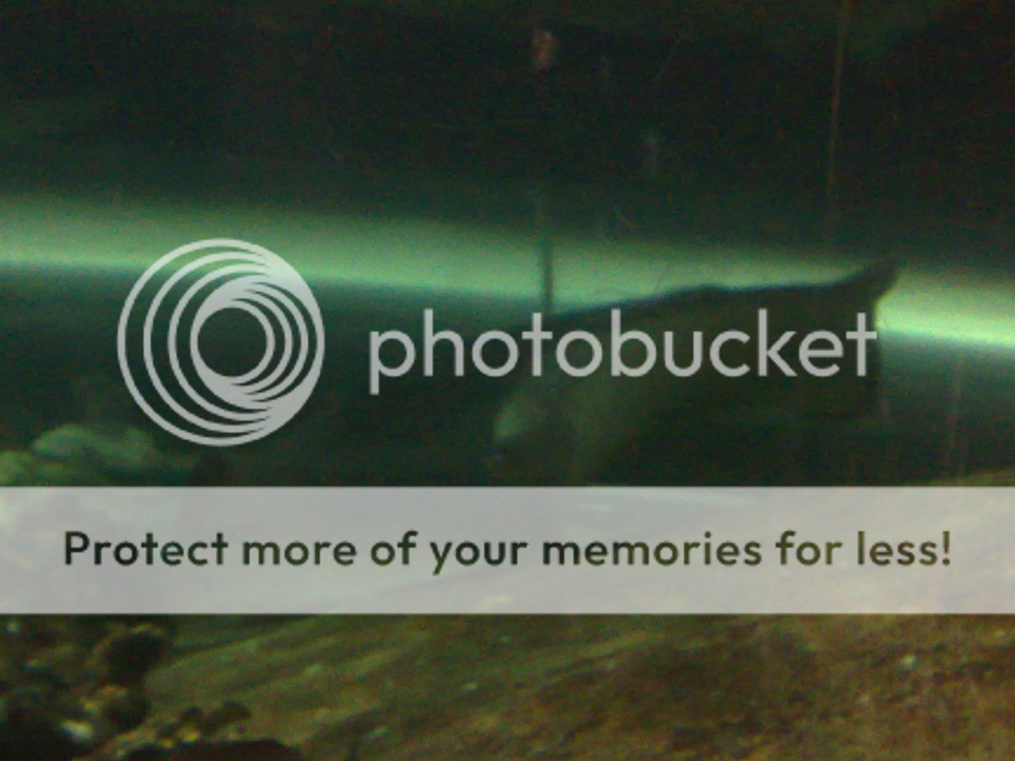 23082008042.jpg