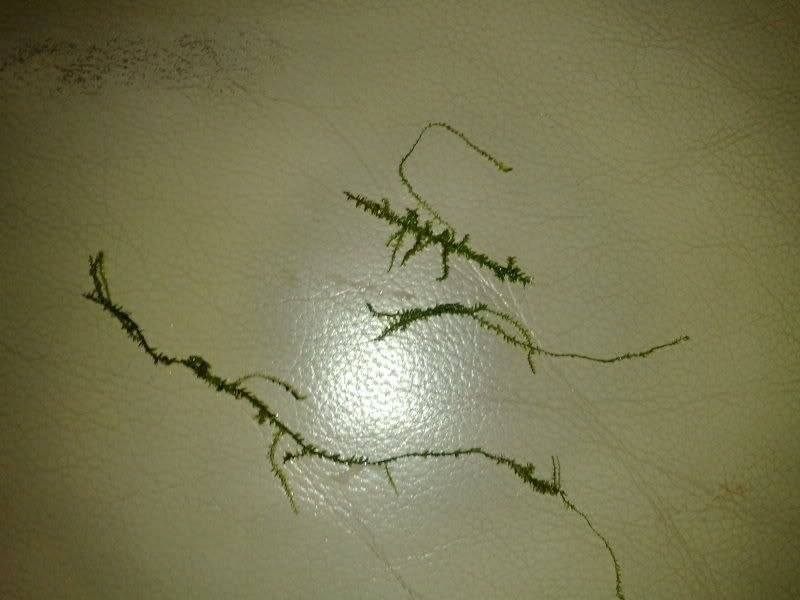 04092009961.jpg