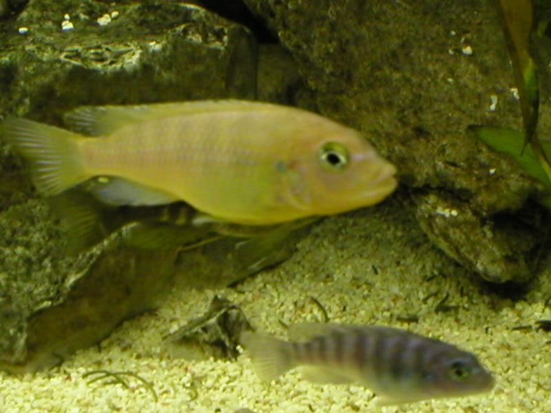 P1010060.jpg
