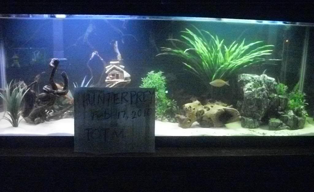 zone3.jpg