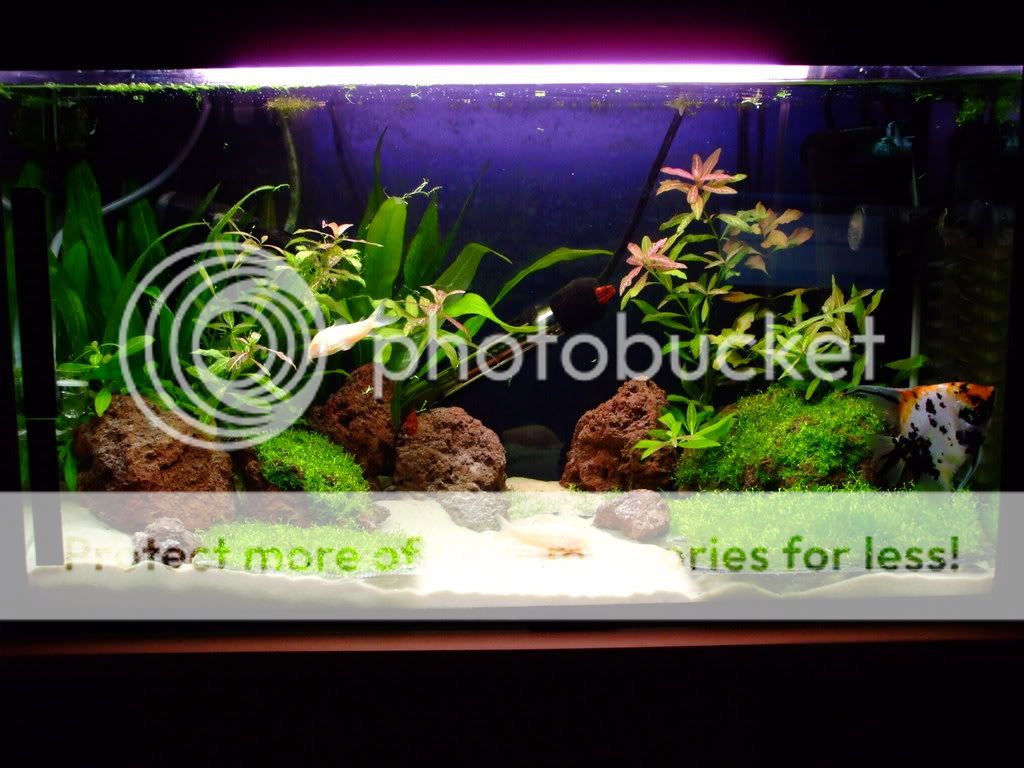 DSCF9207.jpg