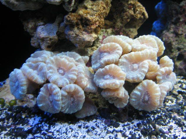 IMG_0101.jpg
