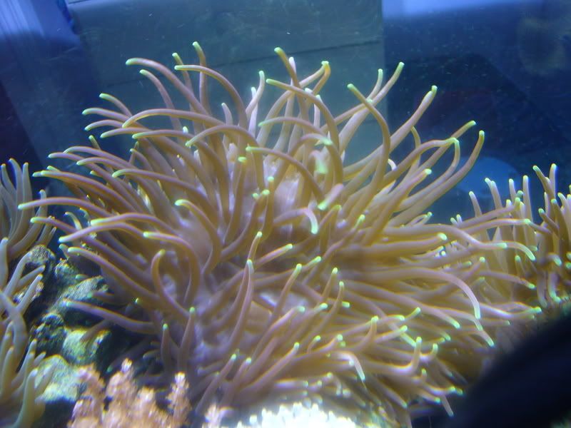 P1010142.jpg