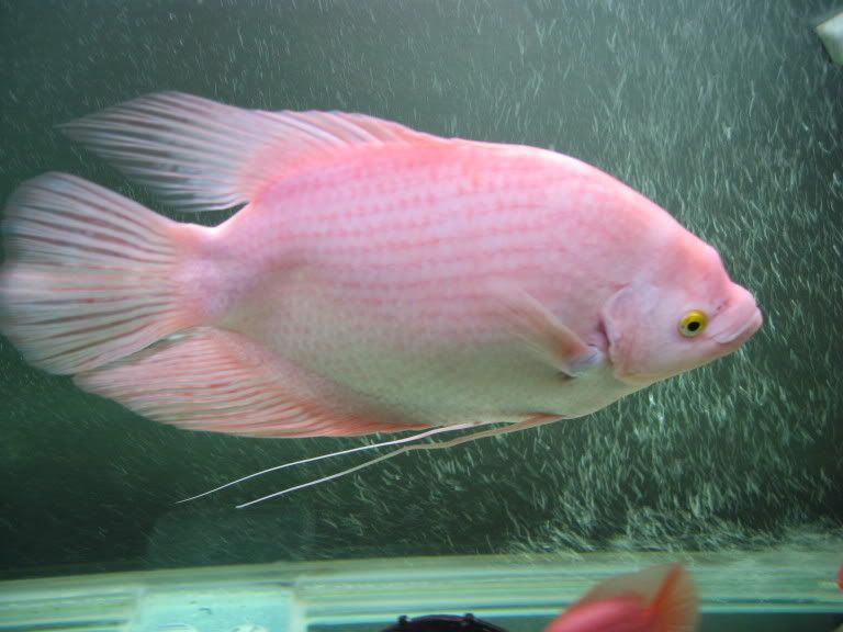 IMG_0266.jpg