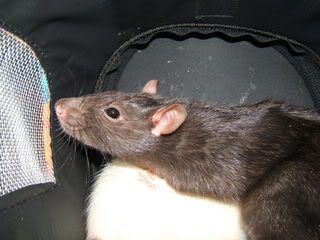 DSCF2858.jpg