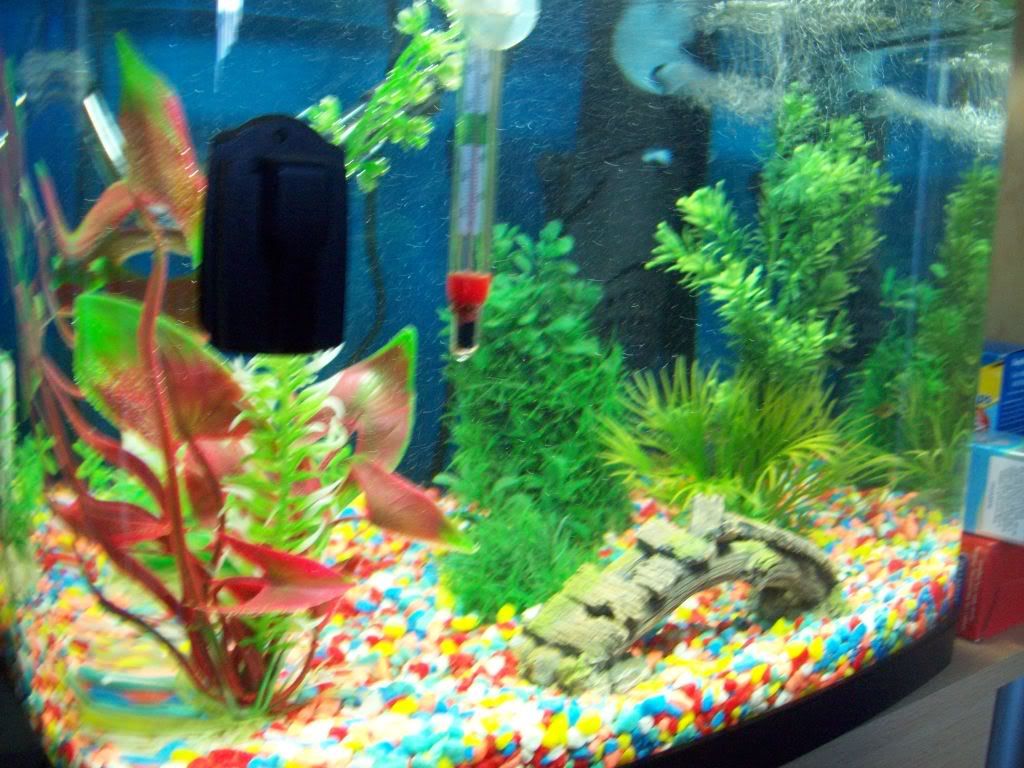 100_0690.jpg