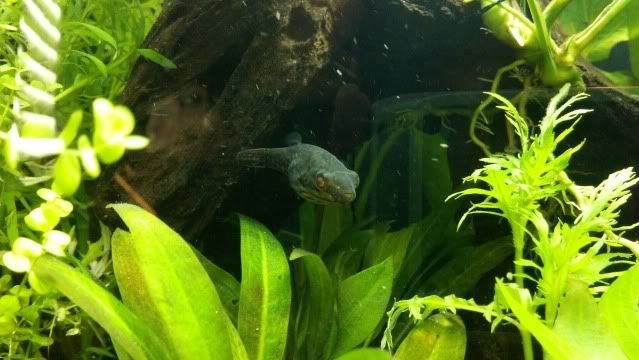 2012-06-23_09-05-13_468.jpg