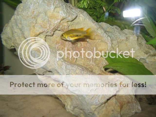 105_0523.jpg