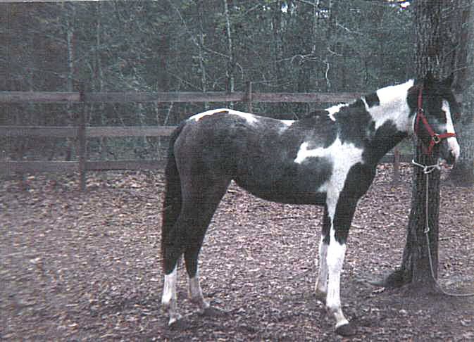SilverSparkle003.jpg