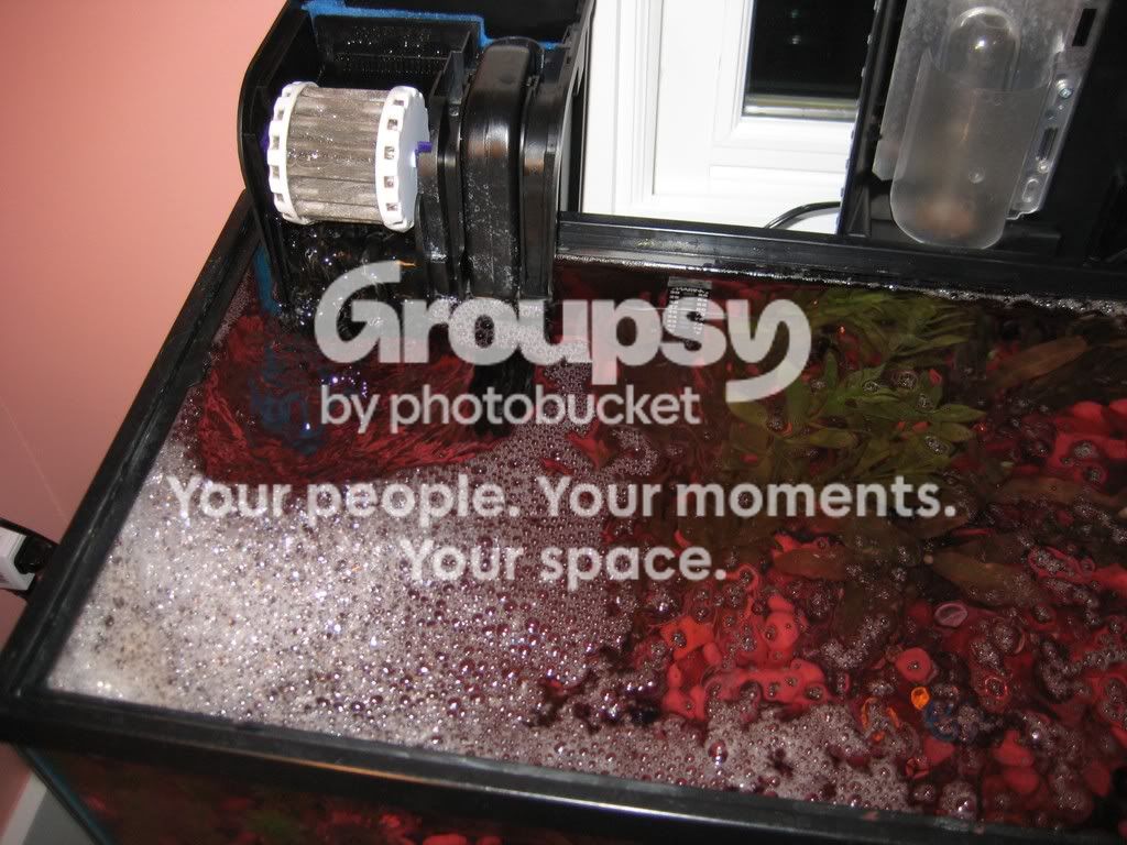 tank1.jpg