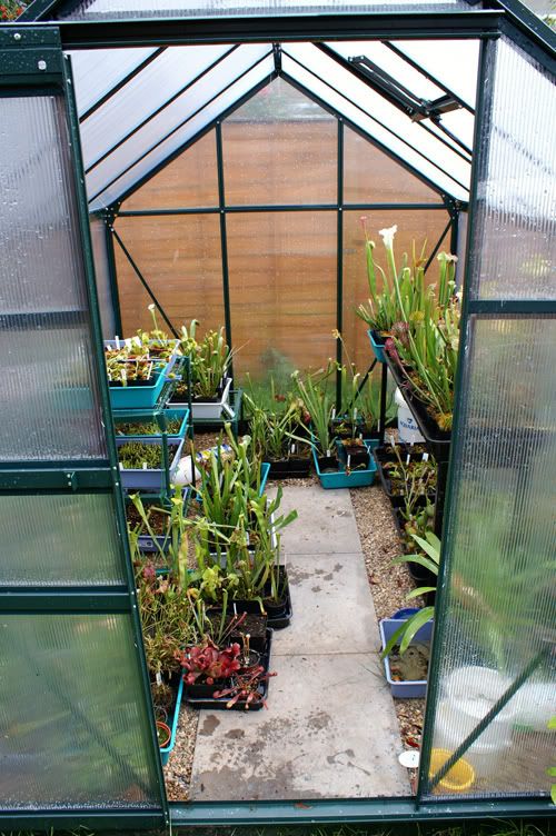 greenhouse.jpg