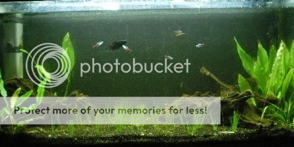 photosig.jpg