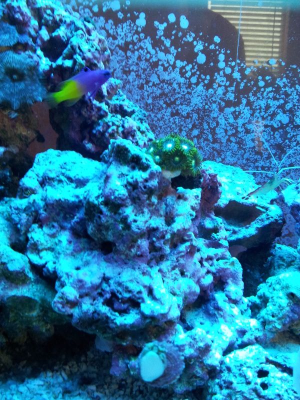20120414_102438.jpg