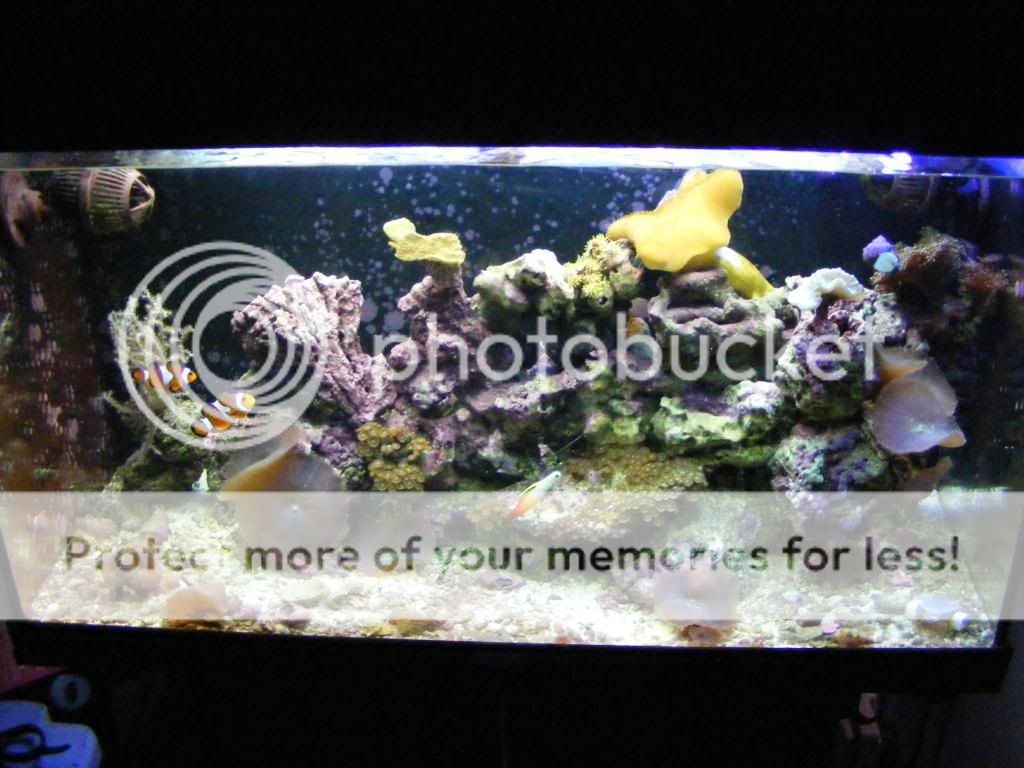 FTS001.jpg