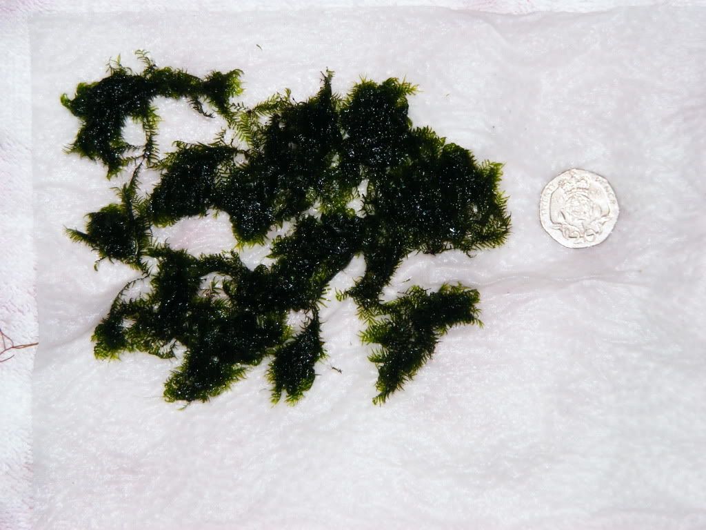 DSCF1129.jpg