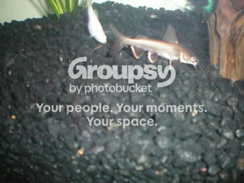 PictureorVideo011.jpg