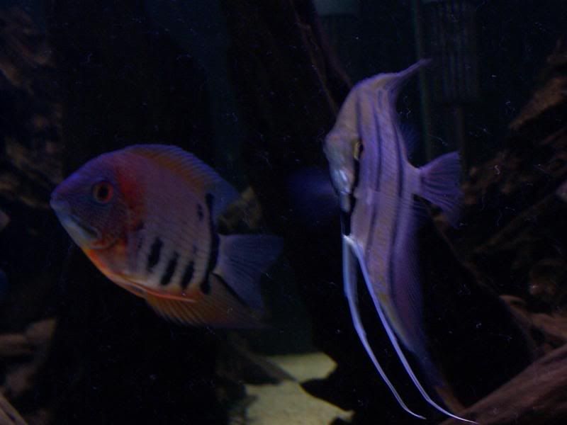 100_6075.jpg