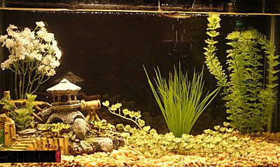10g3.jpg