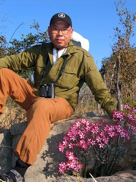 Me_adenium_2.jpg
