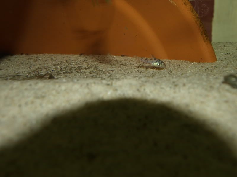 _2212660.jpg