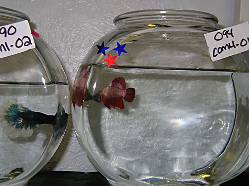 DSCN2883.jpg