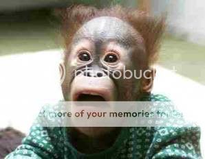 surprised-monkey.jpg