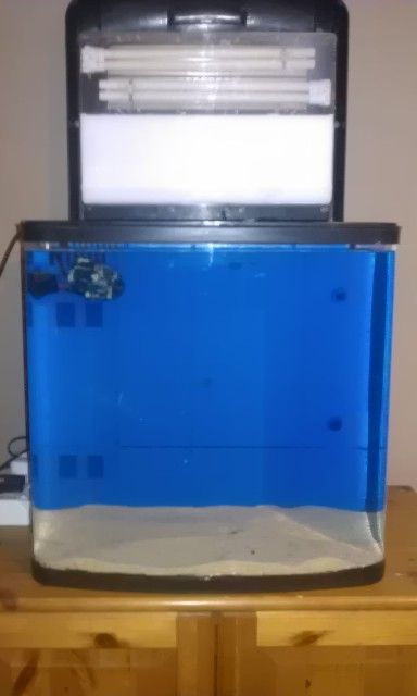 IMAG0896.jpg
