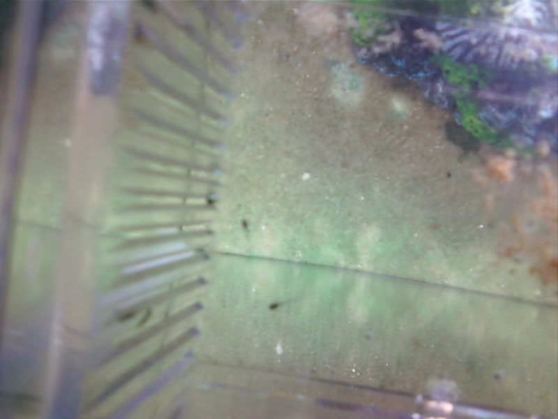 0512101442-00.jpg