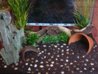 fishtank007.jpg
