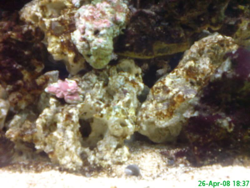 DSC00109.jpg