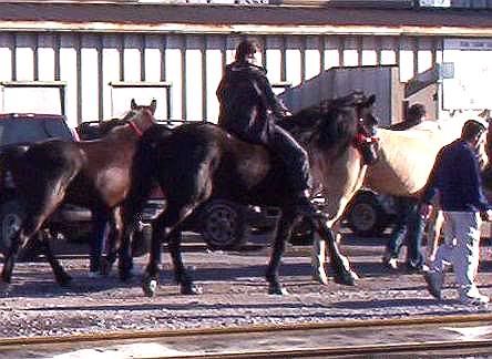 100_3080.jpg