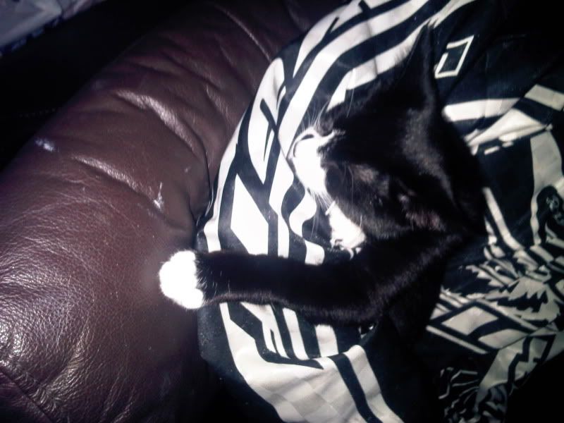 IMG00513-20101010-2050.jpg