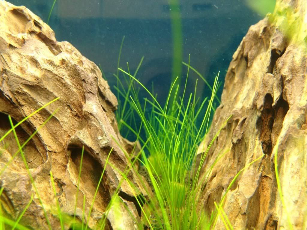 photo4.jpg