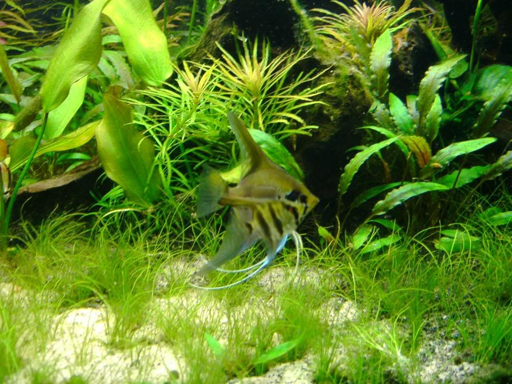 IMAG0037.jpg