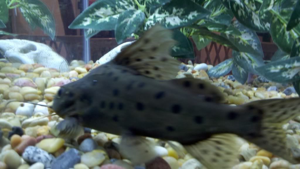 2011-06-19_20-41-49_144.jpg