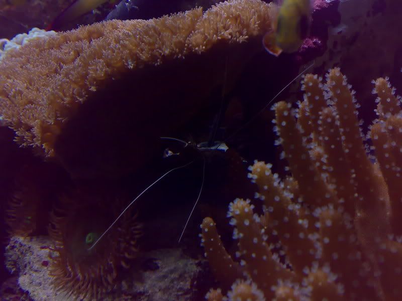 07012007103.jpg