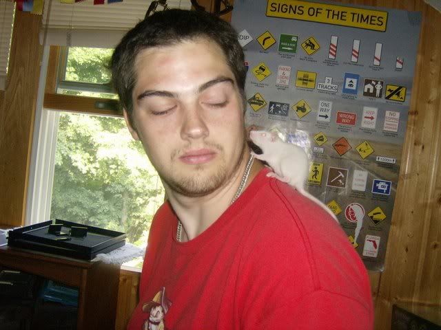 Rats028.jpg